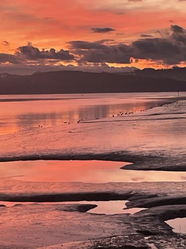 Photo Gallery Image - Gill Mannings Cox: Downstream towards Tamerton Lake