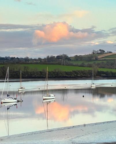 Photo Gallery Image - Gill Mannings Cox: A Rare January Day