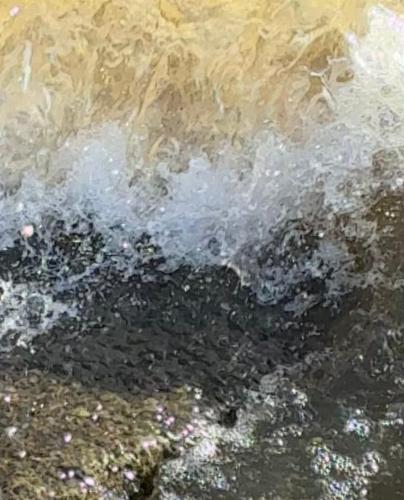 Photo Gallery Image - Gill Mannings Cox: January storms, public slip, Sammy Sams